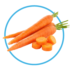 carrot slices are great for puppies